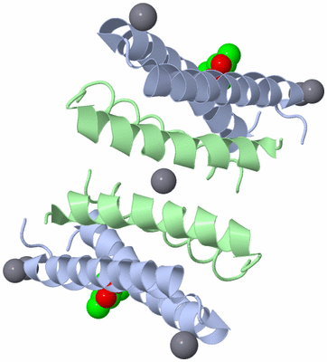 Image Biological Unit 2