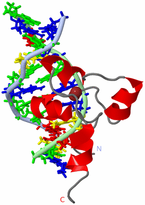 Image NMR Structure - model 1