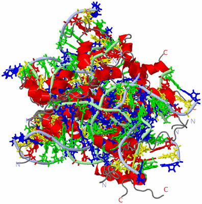 Image NMR Structure - all models