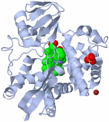 Image Biological Unit 1