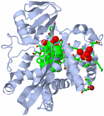 Image Biol. Unit 1 - sites
