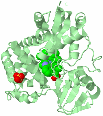 Image Biological Unit 2
