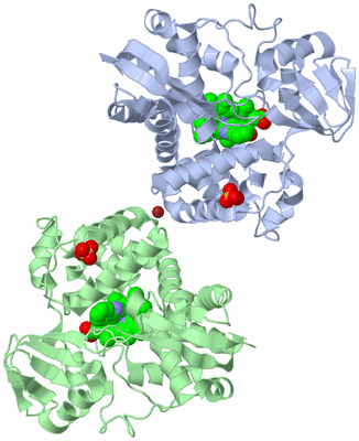 Image Biological Unit 3