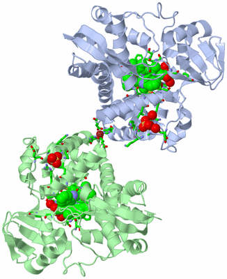 Image Asym. Unit - sites