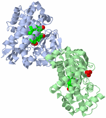 Image Asymmetric Unit