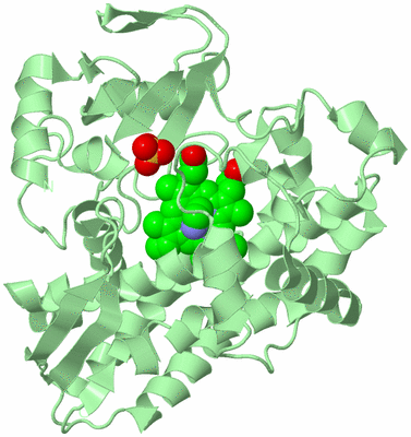 Image Biological Unit 2