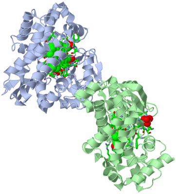 Image Asym. Unit - sites