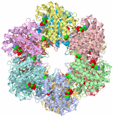 Image Asym./Biol. Unit