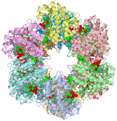 Image Asym./Biol. Unit - sites