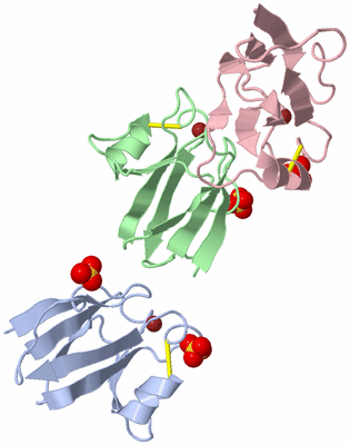 Image Asymmetric Unit