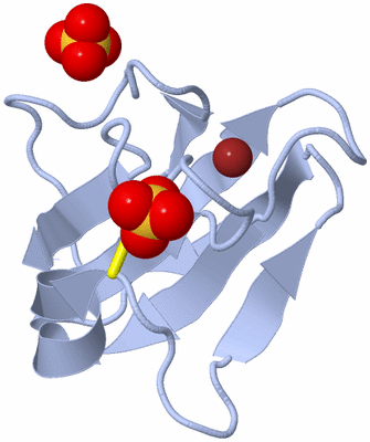 Image Biological Unit 1
