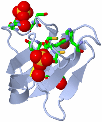Image Biol. Unit 1 - sites