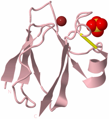 Image Biological Unit 3