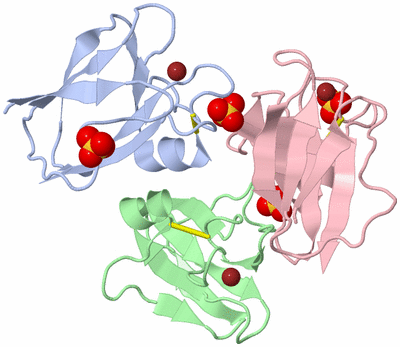 Image Biological Unit 4