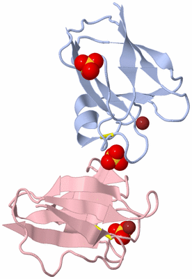 Image Biological Unit 5