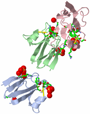 Image Asym. Unit - sites