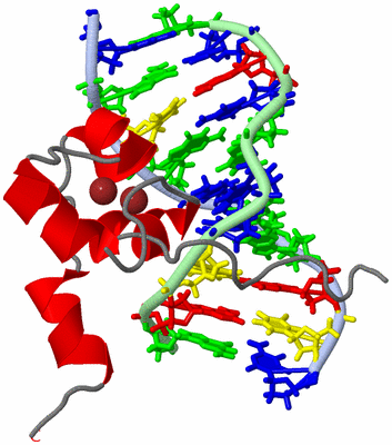 Image NMR Structure - model 1