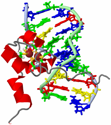 Image NMR Structure - model 1, sites