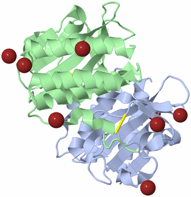 Image Biological Unit 1