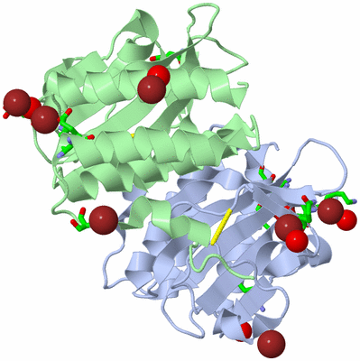 Image Biol. Unit 1 - sites