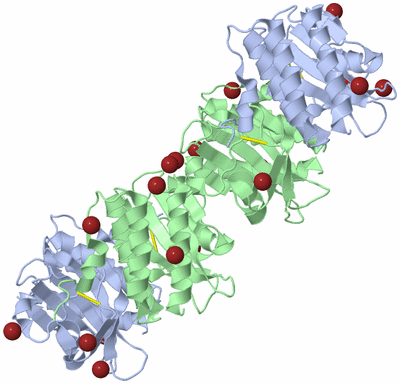 Image Biological Unit 2