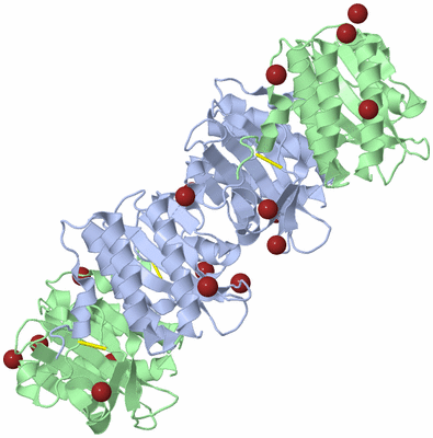 Image Biological Unit 3