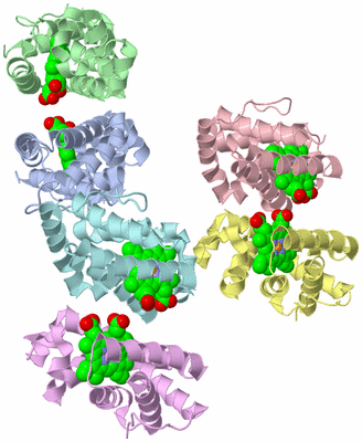 Image Asymmetric Unit
