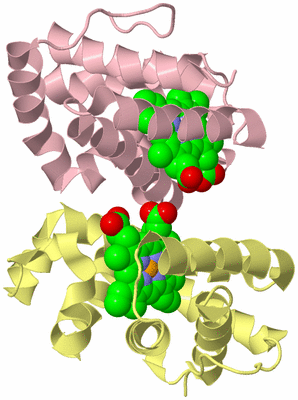 Image Biological Unit 2