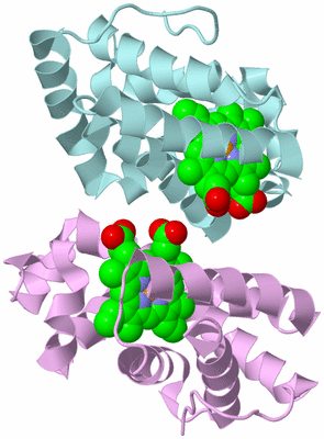 Image Biological Unit 3
