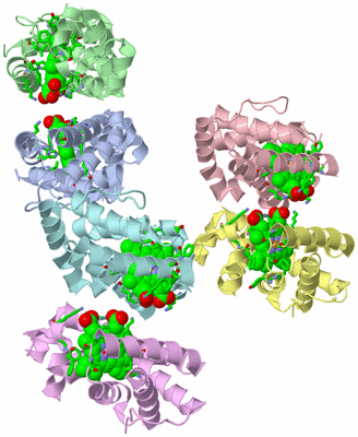 Image Asym. Unit - sites