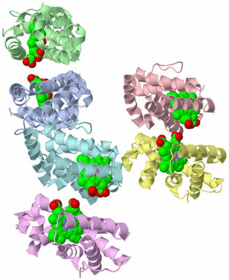Image Asymmetric Unit
