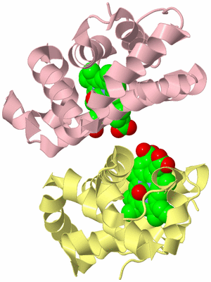 Image Biological Unit 2