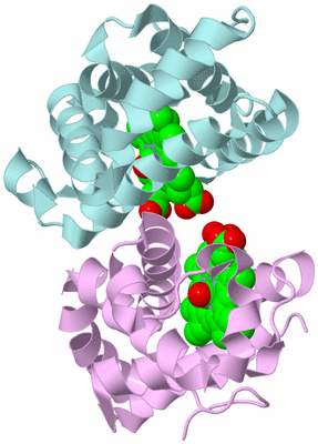 Image Biological Unit 3