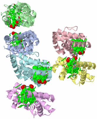 Image Asym. Unit - sites