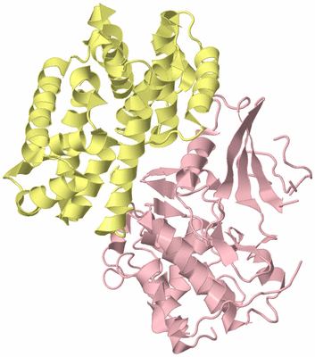 Image Biological Unit 2