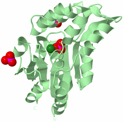 Image Biological Unit 2