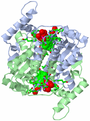 Image Asym./Biol. Unit - sites