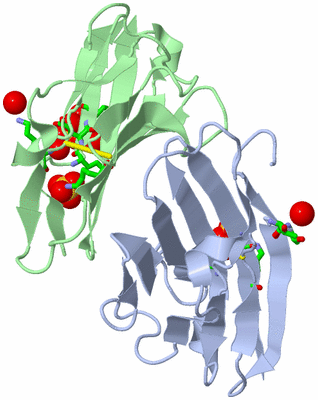 Image Biol. Unit 1 - sites