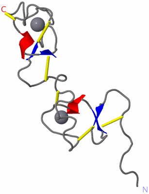 Image NMR Structure - model 1