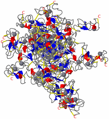 Image NMR Structure - all models