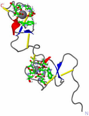 Image NMR Structure - model 1, sites