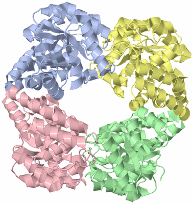 Image Asym./Biol. Unit