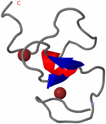 Image NMR Structure - model 1