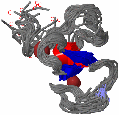 Image NMR Structure - all models