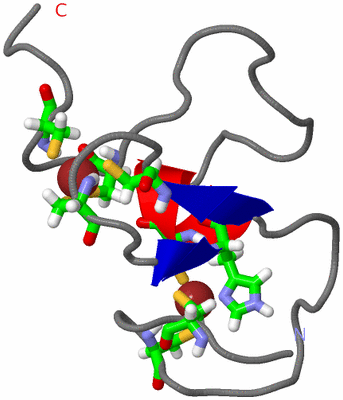 Image NMR Structure - model 1, sites