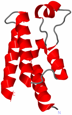 Image NMR Structure - model 1