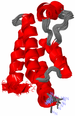 Image NMR Structure - all models