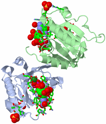 Image Asym./Biol. Unit - sites