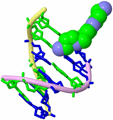 Image Biological Unit 3