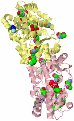 Image Biological Unit 2